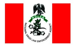 Court Grants NDLEA Interim Forfeiture of 17 Containers Loaded With Illicit Drugs