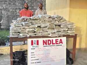 NDLEA Arrests Wanted Drug Baron, Recovers Large Drug Shipment in Lagos