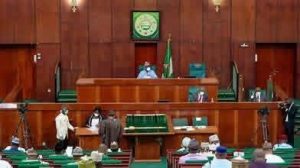 Reps Supports Establishment Of Africa’s First Green, Climate Finance Bank