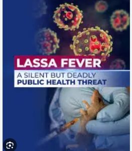 Katsina Records Additional Case of Lassa Fever after Three Death