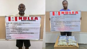 NDLEA Arrests Doctor, Ivorian Over Cocaine Trafficking