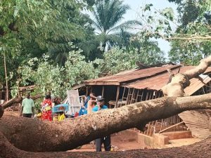 Windstorm Horror Uproots Trees Upon Buildings, Render People Homeless In Benue Communities