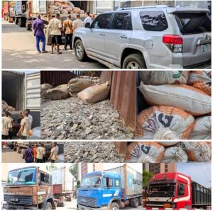 Court Orders Final Forfeiture of Mining Site, Trucks, Lithium Stones to FG