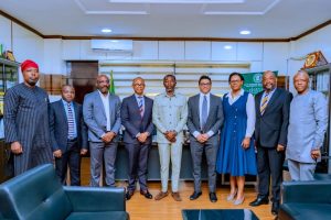 Nigeria, South Africa On Social Protection Systems
