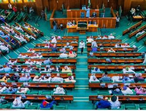 Reps Order Police to Produce PFIPC DG Over Alleged Fake Agency Probe