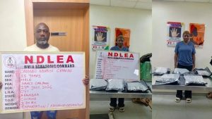 NDLEA arrests businessman in Lagos over 3.3kg cocaine bound for UK