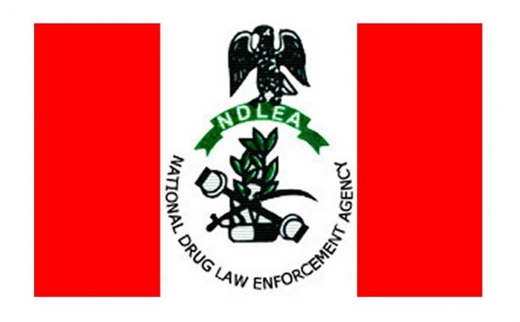  Police Investigating NDLEA Over Mohbad’s Death – Lagos CP