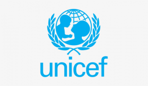 Nutrition supplements stolen, replaced with stones in Sokoto — UNICEF cries out