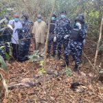 Police Burst Kidnapper’s Hideout Forest, Arrest 5 Suspects in Imo