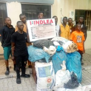 NDLEA Intercepts Codeine Shipment from India, Arrest 2 ladies, 17 Others