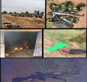 Nigerian Troops Kill 3 Terrorists, Recover Rustled Sheep In Zamfara