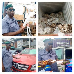 Customs Intercepts Consignment of Donkey Skins, Others Worth N8 Billion