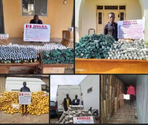 NDLEA Intercepts 31 Million Pills, Bottles of Opioids Worth N17.9billion at Lagos, PH ports