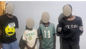 Police Arrest Four Minors For ‘Stealing Iron Rods, Building Materials’ In FCT