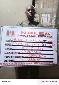 NDLEA Arrests Igunuko Chief Priest For Drug Trafficking In Lagos