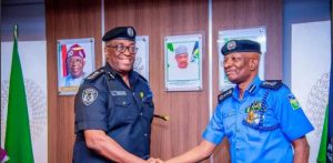 IGP Egbetokun Orders Posting Of DIG Towuru To FCID