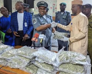 Customs Intercepts Passenger with Cannabis Worth N290 Million, Hands Over Suspect to NDLEA