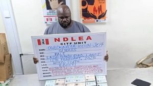 How NDLEA Arrested Wanted Drug Baron, Seized Illicit Drugs Worth Over N1.4b in Lagos – Marwa