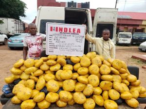 NDLEA Arrests Notorious Drug Kingpin, Intercepts N7.8bn Opioids in Rivers