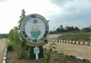 No plan to unseat council chair, VC -FUOYE