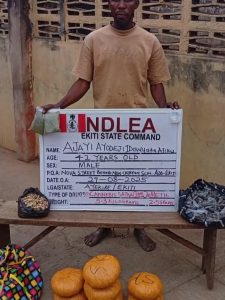 75-Year-Old Grandpa Arrested as NDLEA Destroys 178,000kg Skunk in Taraba forest