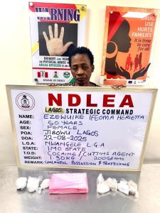 NDLEA Arrests Widow for Using Fake Pregnancy to Traffic Cocaine in Lagos