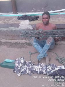 Man Arrested for Stealing Fence Wire In Lagos
