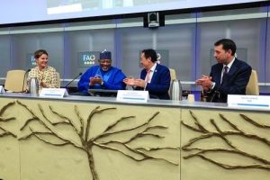 Nigeria Unveils Policies to Transform Food Systems