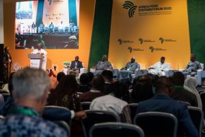 REDUCING POST-HARVEST LOSSES