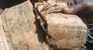 ‘Anyone Who Abuse Naira Notes Will Go to Jail For Six Months’ – CBN
