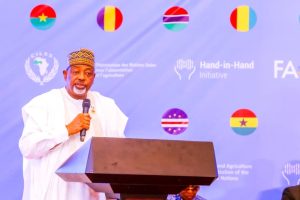 Nigeria Targets $3.14bn Investment to Boost Agriculture
