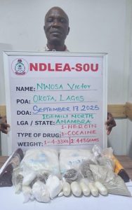 Two Drug Kingpins Arrested with Consignments of Cocaine, Heroin in Lagos