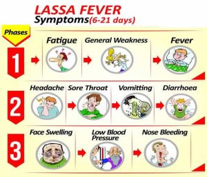 LASSA FEVER: NIGERIA REPORTS 2 DEATHS, 11 NEW CASES