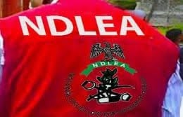 NDLEA Intercepts Cocaine Shipment From Brazil