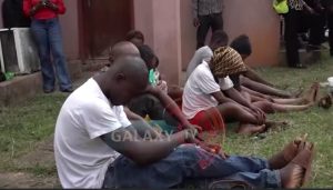 Edo Task Force Cracks Down in Drug Cartels, Arrests 7