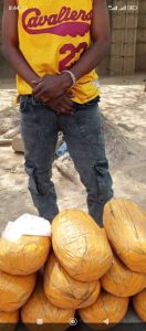 TROOPS ARREST MAJOR DRUG SUPPLIER TO TERRORISTS IN ADAMAWA