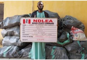 NDLEA Arrests Bandits Drug Supplier in Niger