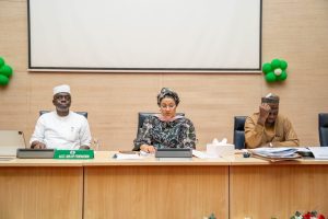 FG, STATES, LGCs SHARE N1.928 TRILLION FROM A GROSS TOTAL OF N2.343 TRILLION FOR NOVEMBER