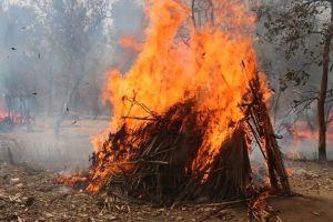 THREE MAJOR BANDIT CAMPS NEUTRALIZED IN KOGI STATE