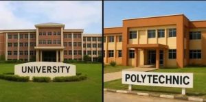 A Chief Lecturer in a Polytechnic Is Not the Same as a University Professor