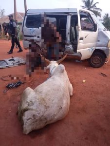 OGUN POLICE ARREST TWO SUSPECTED CATTLE RUSTLERS, RECOVER STOLEN COW, WEAPONS