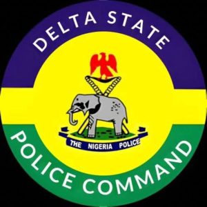 Delta Police Probe Viral Video Alleging Assault of Woman