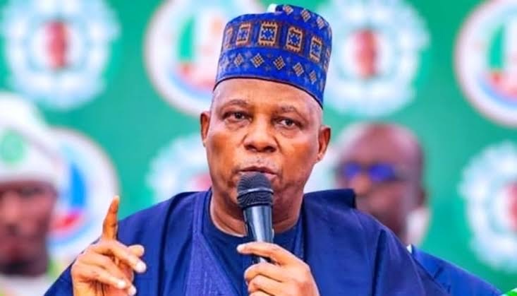 Vice President Shettima Calls for Peaceful Political Activities in APC