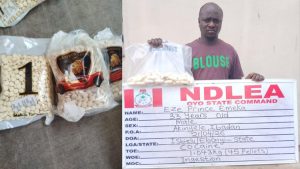 NDLEA seizes 10,000 Captagon pills in Kwara, arrests businessman who excreted cocaine