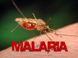 World Malaria Day: Now We Can, Now We Must, IN Unison