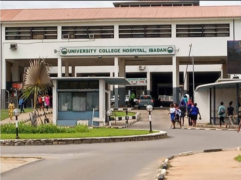 UCH Doctors, Nurses Embark on Strike Over Assaults on Health Workers