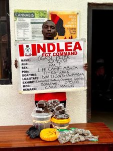 NDLEA seizes cocaine bound for UK, Others