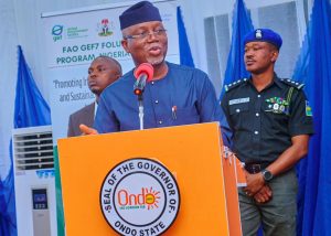 Ondo Targets Global Cocoa Market, Moves Against Deforestation