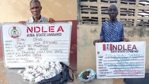NDELA arrests two grandpas for drug trafficking in Abia, Ekiti