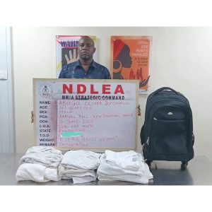 NDLEA nabs 41-Year-Old Brazil-Based Nigerian Restaurateur at Lagos Airport